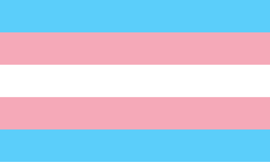 Transgender pride flag.